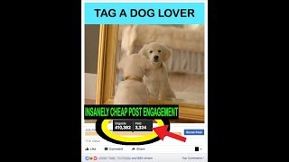 Insanely Cheap Facebook Post Engagement