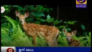 Forest day - dd malayalam news