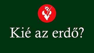 Erdei illemtan - kié is a természet? - Vadászfeleselő XVI.