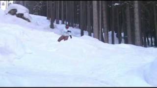 Snowboard Folgarida Alessio video