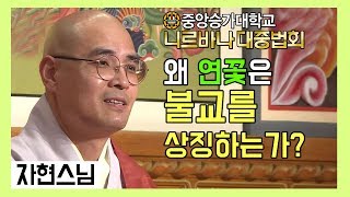 왜! 연꽃은 불교를 상징하게 됬는가? _ 자현스님 [중앙승가대학교 니르바나 대중법회