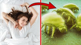 THIS is WHY you should NEVER make your Bed in the Morning 💥 (UNBELIEVABLE) 🤯