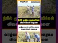 நீரில் மூழ்கிய நெற்பயிர்கள் விவசாயிகள் வேதனை