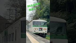 185系/伊豆急行-踊り子@稲梓駅(通過シーン)