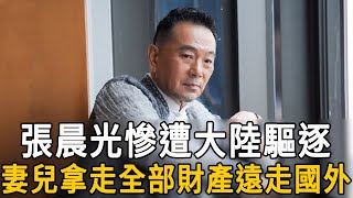 張晨光慘遭大陸驅逐活不下去！拋棄二奶回台密會陳美鳳內幕驚人，難怪妻兒拿走全部財產遠走國外#張晨光 #陳美鳳