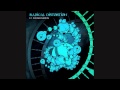 Radical Distortion - Quantum Gravity