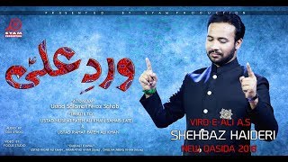 Dum Mast Qalandar - Shahbaz Haidery - Tribute to Ustad Nusrat Fateh Ali Khan - Qasida 2018