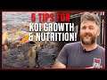 Maximize Koi Growth: Top 5 Tips for Rapid Koi Development | Koi Fish Care