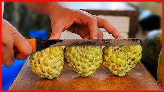 FRUIT NINJA of FRUITS | Amazing Fruits Cutting Skills | Indian Street Food In 20