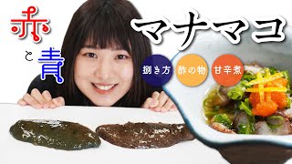 【マナマコ】赤と青のナマコ！捌き方からナマコ酢と甘辛煮の作り方｜ウミダス公式