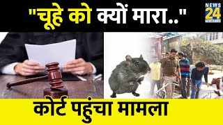 Rat Murder Case: चूहे की हत्या के आरोपी युवक के खिलाफ 30 पन्नों की चार्जशीट, कोर्ट में हुई दाखिल