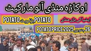 Agriculture land for sale potato Punjab Pakistan || sabzi mandi okara potato rate today