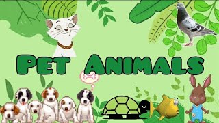 What are Pet animals ? | Take care of pets | Dogs and Cats | Animals for kids #abcd #dog #cat #fish