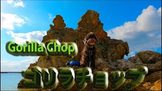 【字幕4K】沖縄県今帰仁村に愛犬と旅行一日目：ゴリラチョップ