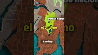 ¡ Los Leopardos Atacan a los vecinos de un barrio de Bombay ! | Historias Vivas |