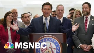 Republican ‘Power Grab’: Florida Rep On His State's New Voter Restriction Law | All In | MSNBC