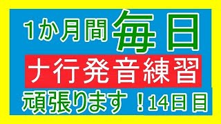 【1か月チャレンジ】ナ行発音練習例題毎日投稿チャレンジ！14日目！(三日坊主にならないように頑張ります！)【声優志望】【言い間違えてても、噛んでも投稿する】