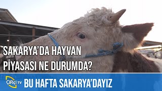 Sakarya Hayvan Pazarı - SULTAN PAZARI