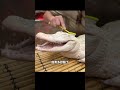 男人釣魚意外釣起一隻小鱷魚，沒想到奇妙的緣分就此展開 野生動物零距離 神奇動物在抖音 萬物皆有靈性 人與動物和諧共處 鱷魚