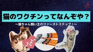 動物病院の獣医師が猫のワクチンについて解説