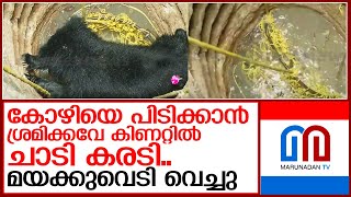 തിരുവനന്തപുരത്ത് വെള്ളനാട് കരടി കിണറ്റില്‍ വീണു  I  Vellanad Bear Well