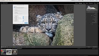 Lightroom Quick Tips - Episode 135: Edit Plugin Defaults