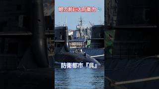 眼の前巨大防衛力🐳防衛都市『呉』