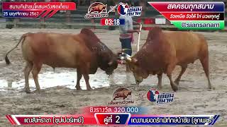 แดงสิงห์ราชา(ซุปเปอร์แหย้) VS แดงงามยอดรักพิทักษ์นำชัย(ลูกเพชร)