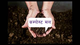 Compost मल बनाउने सजिलो तरिका  ।। organic fertilizer ।। black gold