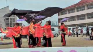 よさこい 2010 千歳　桜祭り1(岩瀬婢舞会）