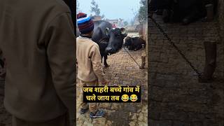 जब शहरी बच्चे गांव में जय तब 😂@Priyankavishalvlogs #viralvideo #Funny #coemdy #newpost #viral