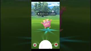 ポケモンGO  12タマ割ってみた。からのダルマッカ色違い