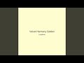 Velvet Harmony Golden