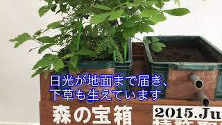 【出前水道教室】水をはぐくむ緑のダム～水源林の働きを学ぼう～