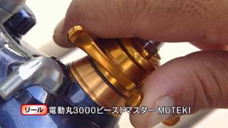 アルシエラ落し込みM250／電動丸3000ビーストマスターMUTEKI