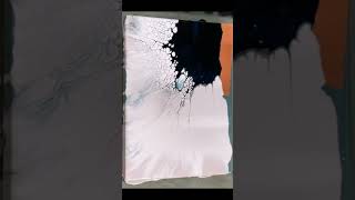 Simply elegant dutch pour with pearl cells. Acrylic pour painting easy, ASMR