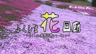 福島の花めぐりより　～ふくしま花回廊（平成２５年版）～