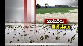 Jaikisan TS | 14th Aug'19 | ఉమ్మడి మహబూబ్‌నగర్ జిల్లాలో నీటమునిగిన పంటలు