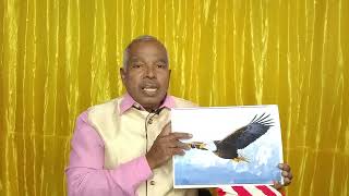 சிறுவர்களுக்கான சிறந்த கதை  பொருள்= கழுகு 🦅