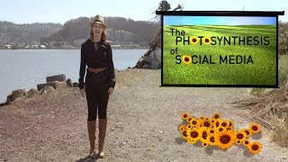 Photosynthesis Of Social Media | Ep. 4 | The Future Starts Here