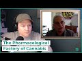 Pe207 Clip: Could the FDA Model of Western Medicine Make More Effective Cannabis Medicines?