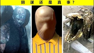 【SCP 基金会】究竟是深层网络阴谋还是令人不寒而栗的现实呢？