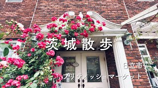 【茨城散歩vlog】インテリアショップ巡り｜日立市｜ブリティッシュマーケット【cinematic vlog】