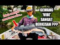 RAHSIA ‼️ Memujuk Mama Toman Culas... || GEWANG 'VIBE' SANGAT BERKESAN ??? #toman #giantsnakehead