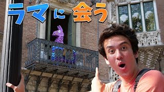 【フォートナイト】僕の街にラマが出現したので会ってみた!! (シーズン5)