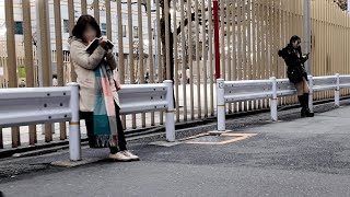 【夜の散歩・4K】新宿・大久保公園（2024/3/6）