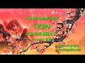 l079《正月花神梅花》太極拳伴奏音樂加長版 純音樂 禪修音樂 佛教音樂 減壓睡眠放鬆輕音樂 tai chi relaxing chinese romantic music