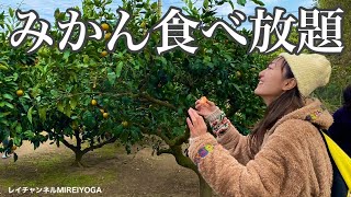 【日帰りぼっち旅】予約不要！！神奈川・三浦の「みかん狩り🍊」がお気軽なのにコスパ良すぎてここに住みたい♪(11／30まで！)