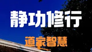 修心之法：国学智慧入门训练，静功修行 你有多久没有静心了？传统文化 修心修行 静心 修行