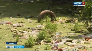 Зона экологического бедствия: реке Аниш в Канаше требуется экстренная помощь